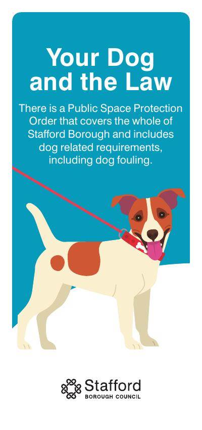 Your Dog and the Law