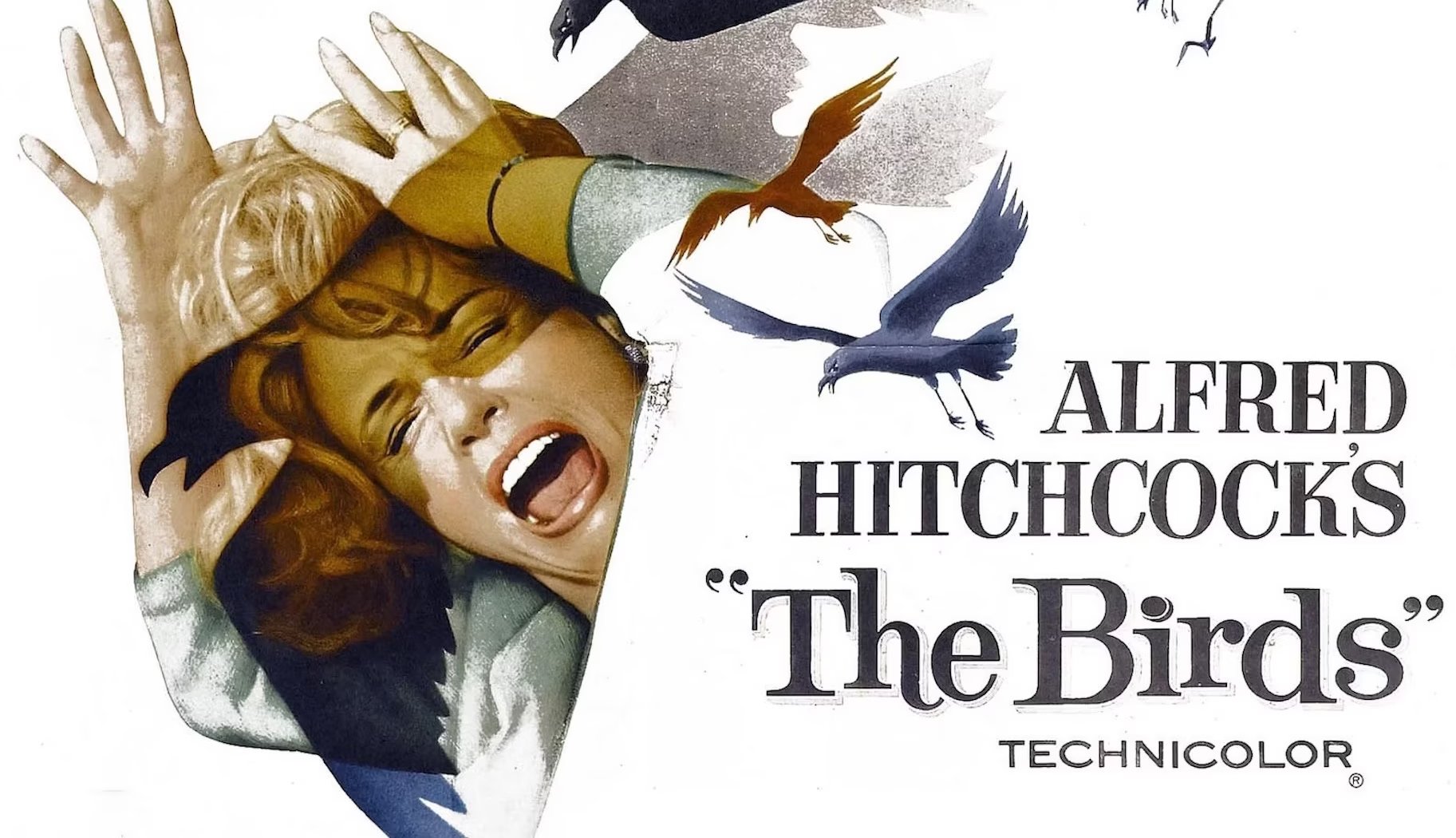 Classic Film Afternoon – The Birds