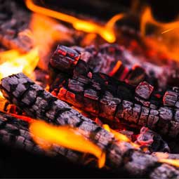 Junior Chefs – BBQ & Burger Making