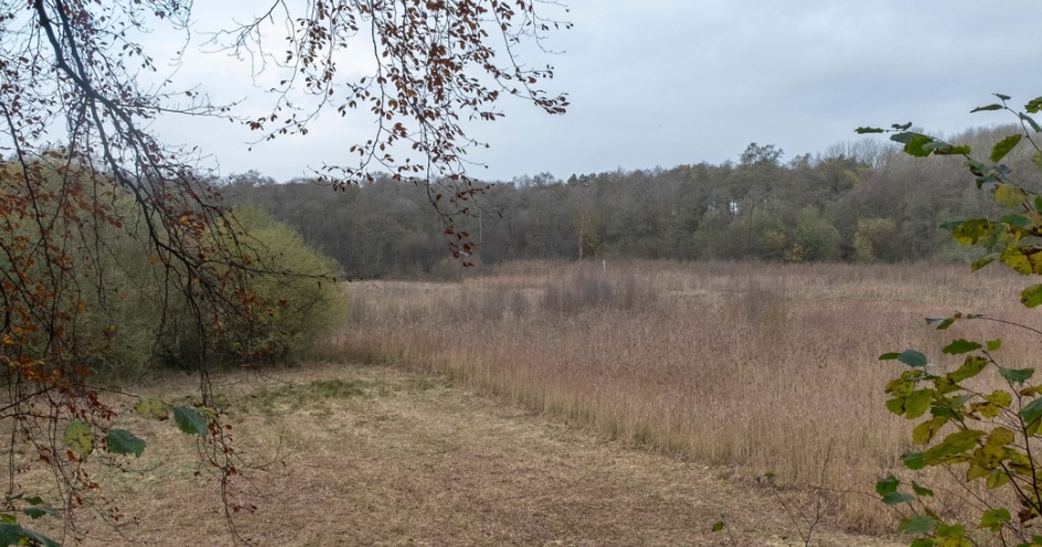 Loynton Moss Nature Reserve